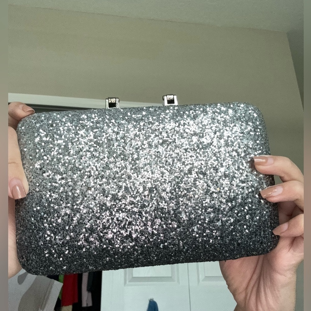 Camille le vie sliver mini clutch